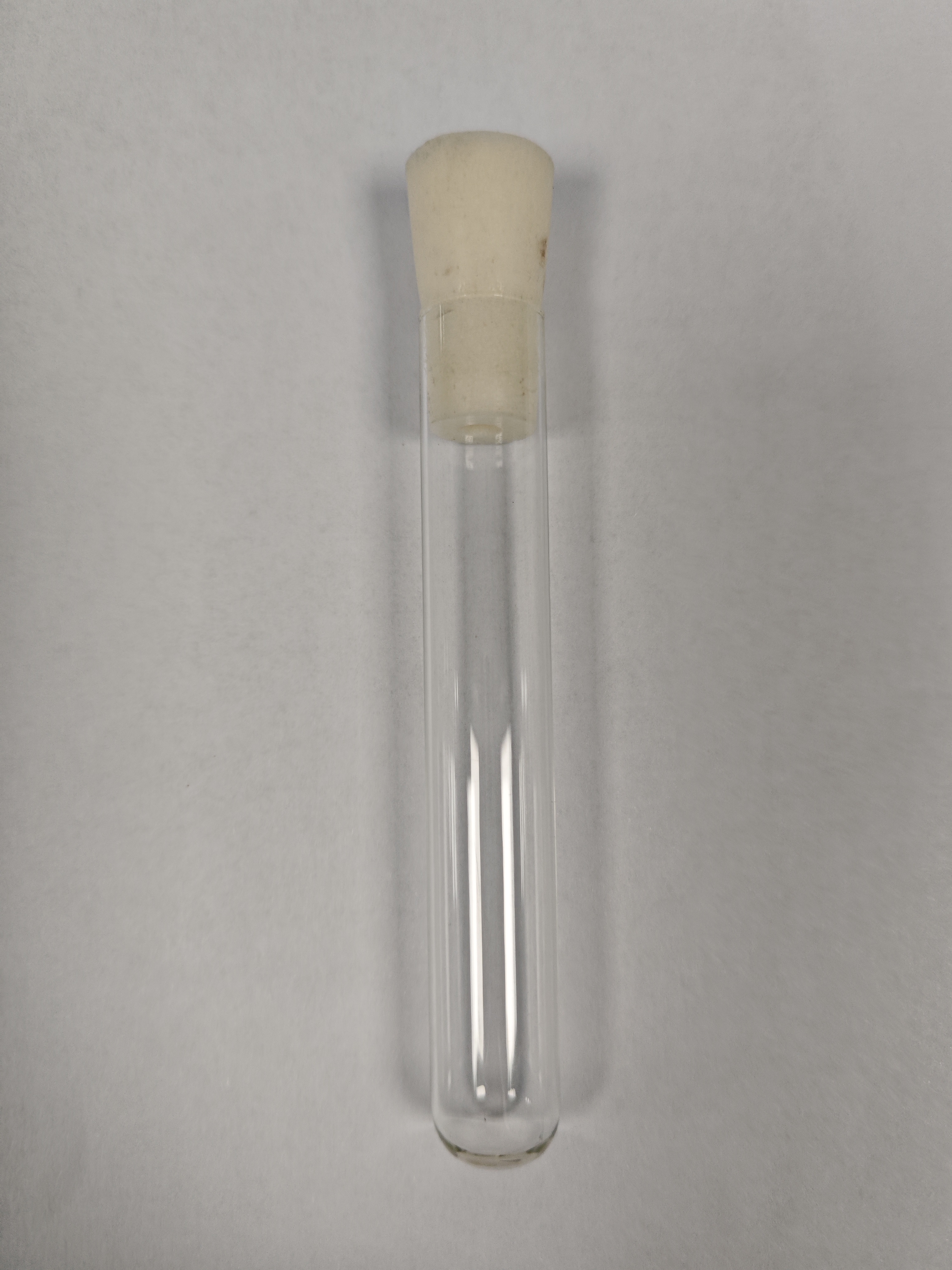 一般细菌培养及鉴定(中段尿)