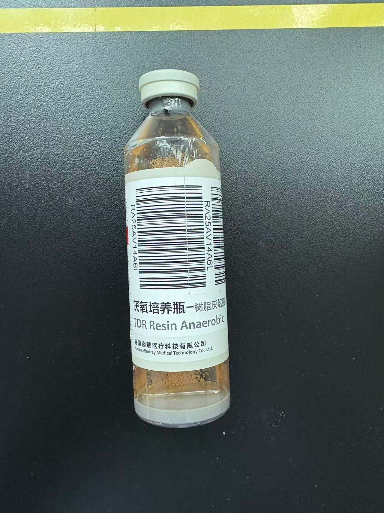 血培养及鉴定（血厌氧菌）